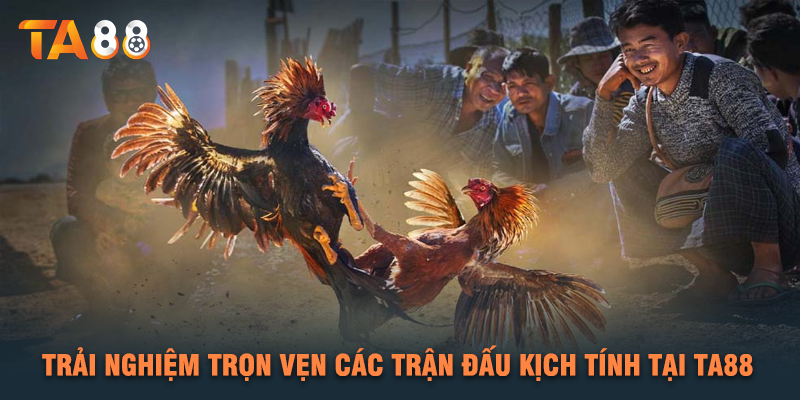 Trải Nghiệm Trọn Vẹn Các Trận Đấu Kịch Tính Tại TA88