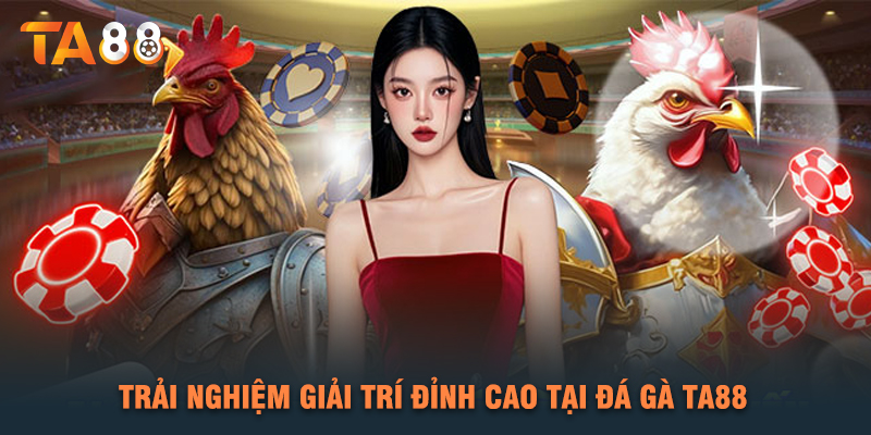 Trải Nghiệm Giải Trí Đỉnh Cao Tại Đá Gà TA88