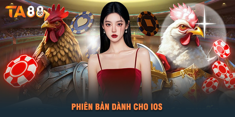 Những Lưu Ý Quan Trọng Khi Tải Ứng Dụng